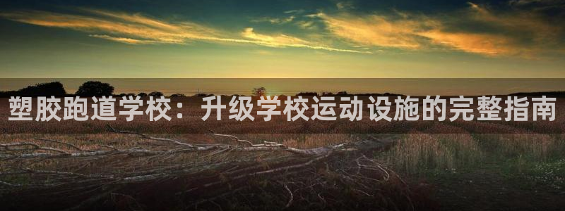 谈球吧体育app下载中心官方：塑胶跑道学校：升级学校运动设施的完整指南
