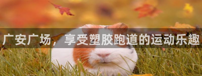谈球吧体育app下载足球：广安广场，享受塑胶跑道的运动乐趣