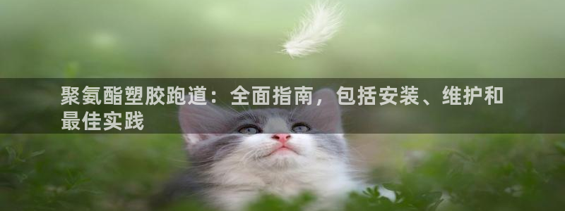 谈球吧算违法行为吗知乎：聚氨酯塑胶跑道：全面指南，包括安装、维护和
最佳实践
