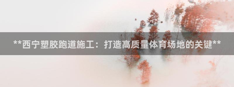 谈球吧app赛事分析报告：**西宁塑胶跑道施工：打造高质量体育场地的关键**