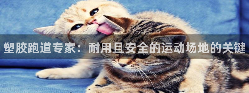 谈球吧入口：塑胶跑道专家：耐用且安全的运动场地的关键