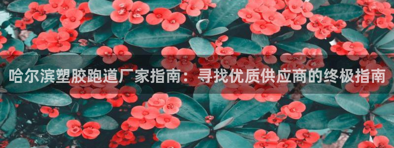 谈球吧体育app下载足球直播视频：哈尔滨塑胶跑道厂家指南：寻找优质供应商的终极指南