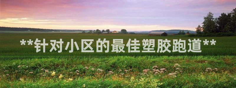 谈球吧中国官方网站：**针对小区的最佳塑胶跑道**