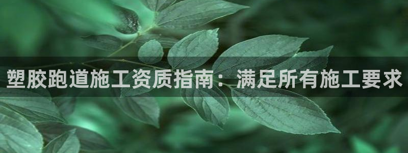 谈球吧下载地址：塑胶跑道施工资质指南：满足所有施工要求