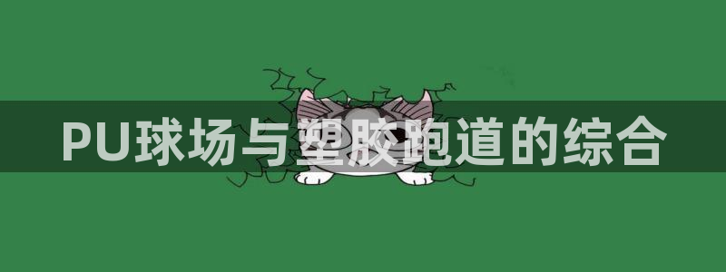 谈球吧app官方下载：PU球场与塑胶跑道的综合
