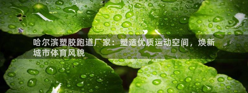 谈球吧体育：哈尔滨塑胶跑道厂家：塑造优质运动空间，焕新
城市体育风貌