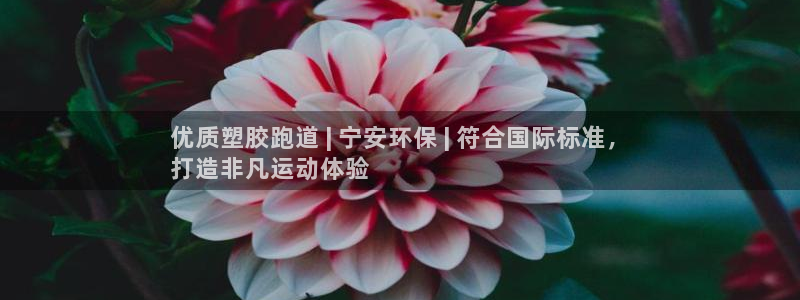 谈球吧官网在线入口免费观看视频：优质塑胶跑道 | 宁安环保 | 符合国际标准，
打造非凡运动体验