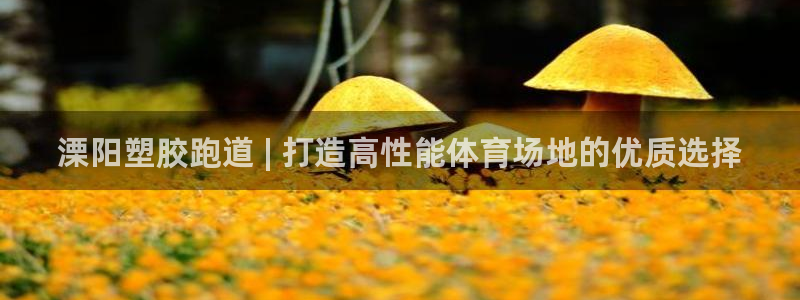 谈球吧官网下载：溧阳塑胶跑道 | 打造高性能体育场地的优质选择
