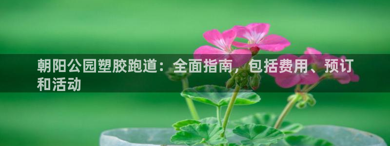 谈球吧怎么样?：朝阳公园塑胶跑道：全面指南，包括费用、预订
和活动