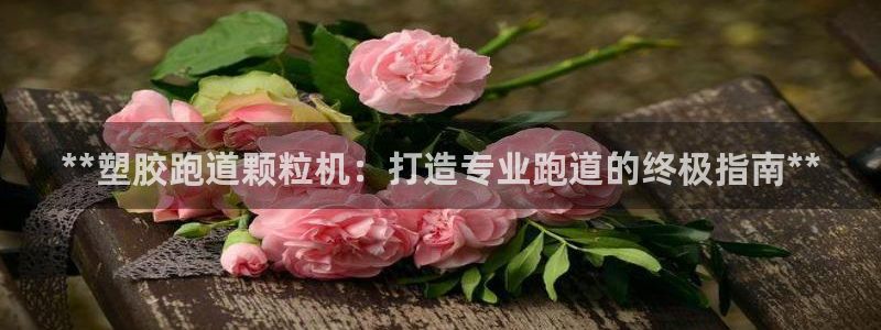 谈球吧首页：**塑胶跑道颗粒机：打造专业跑道的终极指南**