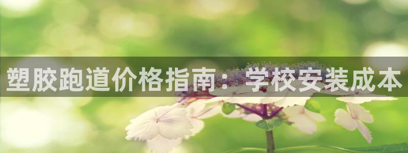 谈球吧是正规平台吗安全吗：塑胶跑道价格指南：学校安装成本