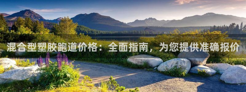 谈球吧体育首页综合登陆：混合型塑胶跑道价格：全面指南
