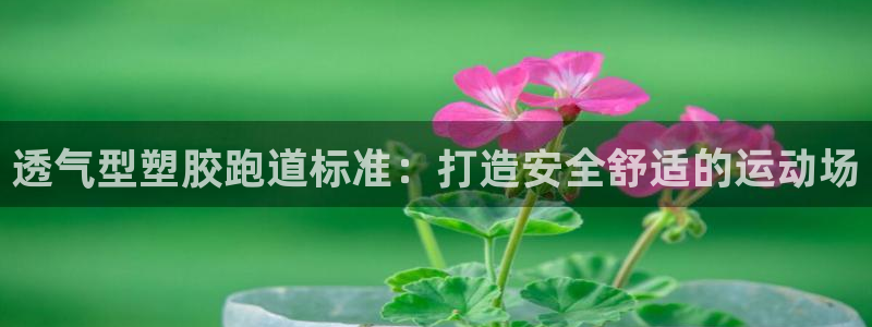 谈球吧不出款：透气型塑胶跑道标准：打造安全舒适的运动场