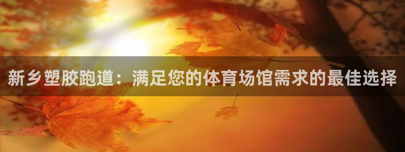 谈球吧网页版：新乡塑胶跑道：满足您的体育场馆需求的最