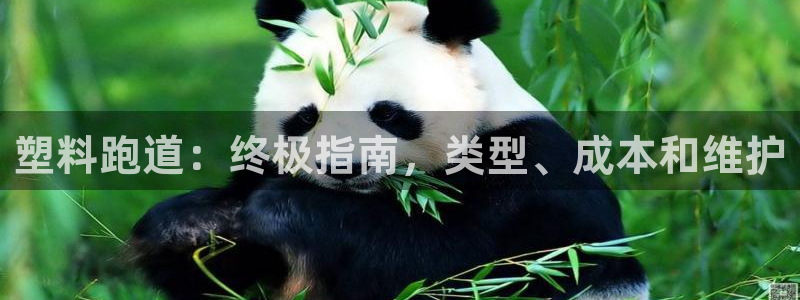谈球吧属于哪个旗下：塑料跑道：终极指南，类型、成本和维护