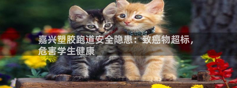 谈球吧体育app官网下载安装：嘉兴塑胶跑道安全隐患：致癌物超标，
危害学生健康