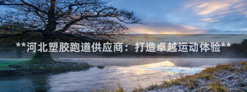 谈球吧app体育下载官网：**河北塑胶跑道供应商：打造卓越运动体验**