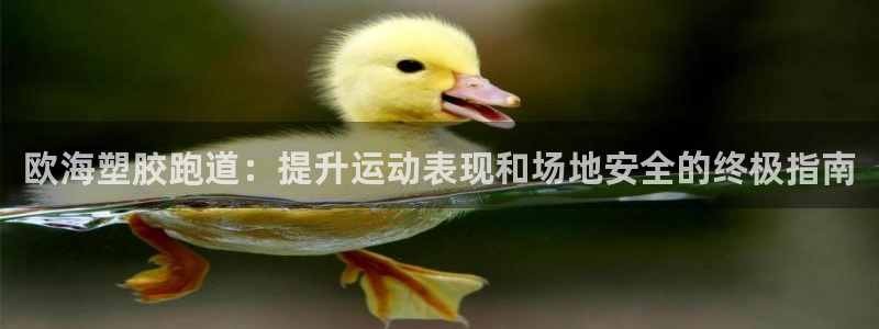 谈球吧官网在线入口手机版免费观看：欧海塑胶跑道：提升运动表现和场地安全的终极指南