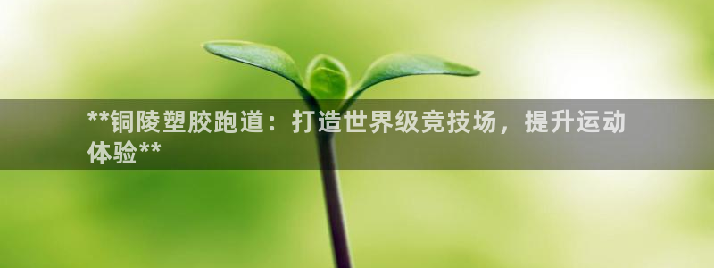 谈球吧APP入口：**铜陵塑胶跑道：打造世界级竞技场，提升运动
体验**