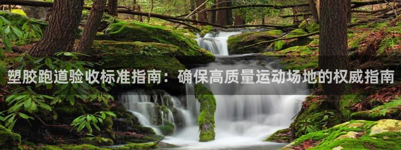谈球吧的聊天软件下载：塑胶跑道验收标准指南：确保高质量运动场地的权威指南