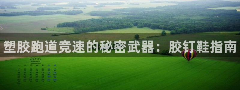 谈球吧体育app下载官网手机版安装：塑胶跑道竞速的秘密武器：胶钉鞋指南