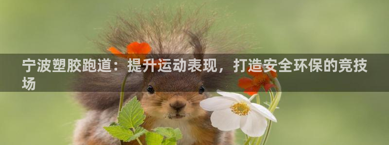 谈球吧平台正规吗可靠吗知乎：宁波塑胶跑道：提升运动表现，打造安全环保的竞技
场