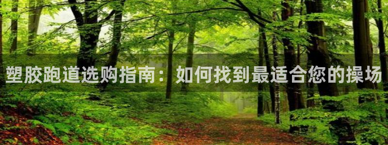 谈球吧的聊天软件叫什么：塑胶跑道选购指南：如何找到最适合您的操场