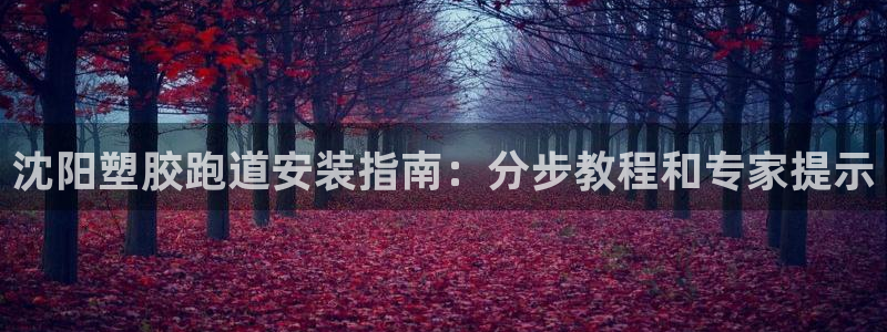 谈球吧属于哪个旗下的品牌：沈阳塑胶跑道安装指南：分步教程和专家提示