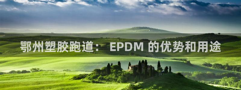 谈球吧平台app下载网址：鄂州塑胶跑道： EPDM 
