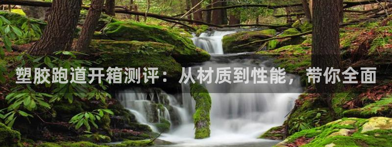 谈球吧tvt：塑胶跑道开箱测评：从材质到性能，带你全面
