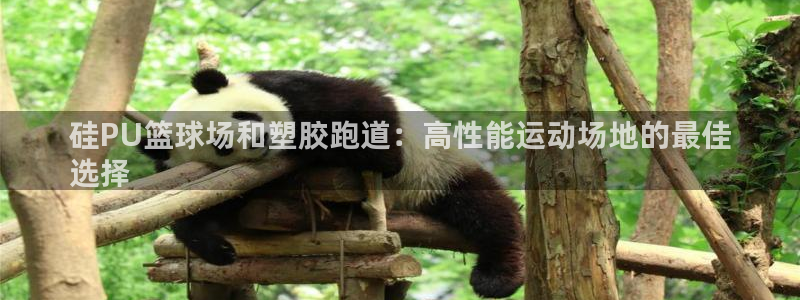 谈球吧的聊天软件是什么：硅PU篮球场和塑胶跑道：高性能运动场地的最佳
选择