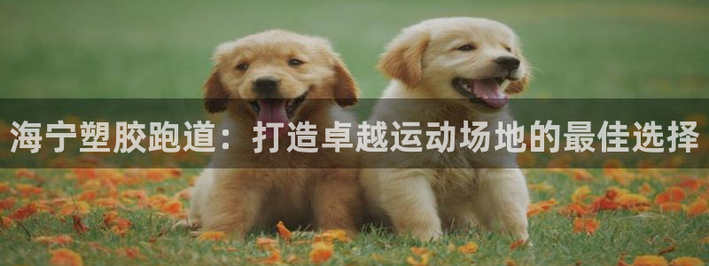 谈球吧体育：海宁塑胶跑道：打造卓越运动场地的最佳选择