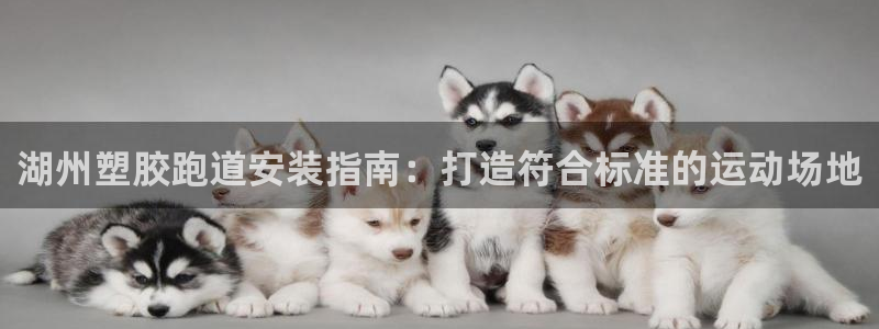 谈球吧官网在线入口免费观看视频：湖州塑胶跑道安装指南：打造符合标准的运动场地