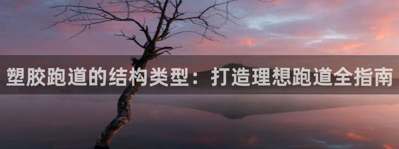 谈球吧网页登陆：塑胶跑道的结构类型：打造理想跑道全指南