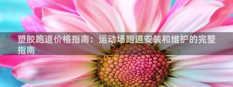 谈球吧平台app下载网址是什么：塑胶跑道价格指南：运动场跑道安装和维护的完整
指南