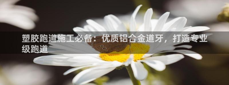 谈球吧在线：塑胶跑道施工必备：优质铝合金道牙，打造专业
级跑道