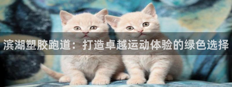 谈球吧体育app下载足球直播：滨湖塑胶跑道：打造卓越运动体验的绿色选择