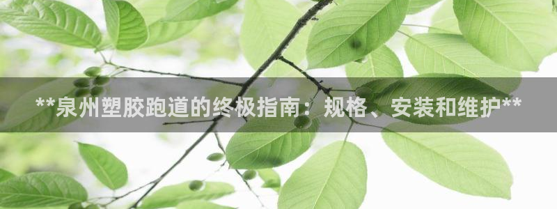 谈球吧官网在线入口免费观看视频：**泉州塑胶跑道的终极指南：规格、安装和维护**