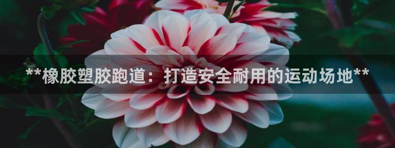谈球吧电子app：**橡胶塑胶跑道：打造安全耐用的运