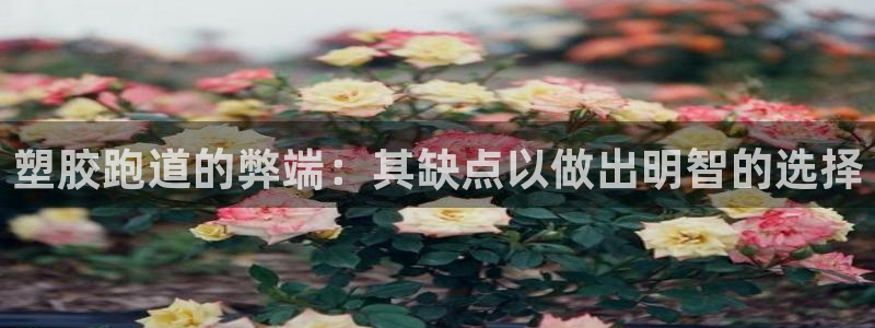 谈球吧app下载：塑胶跑道的弊端：其缺点以做出明智的