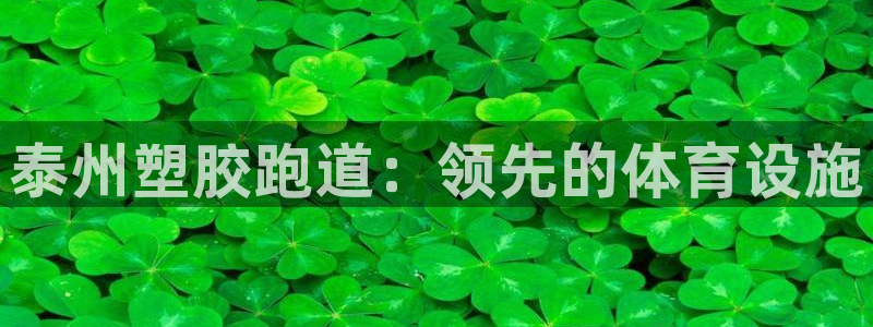 谈球吧体育app下载中心官网苹果：泰州塑胶跑道：领先的体育设施