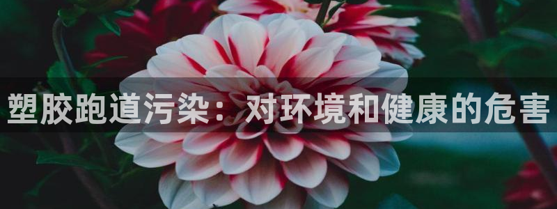 谈球吧体育app下载足球比赛：塑胶跑道污染：对环境和健康的危害