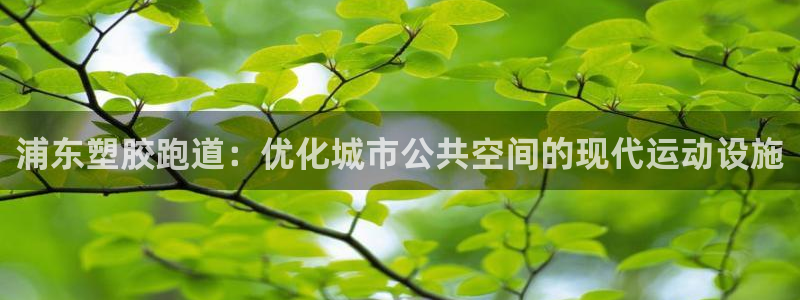 谈球吧出款：浦东塑胶跑道：优化城市公共空间的现代运动设施
