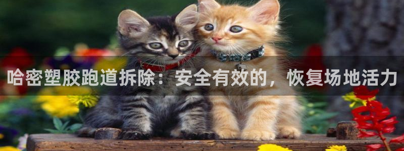 谈球吧平台app下载网址是什么：哈密塑胶跑道拆除：安全有效的，恢复场地活力