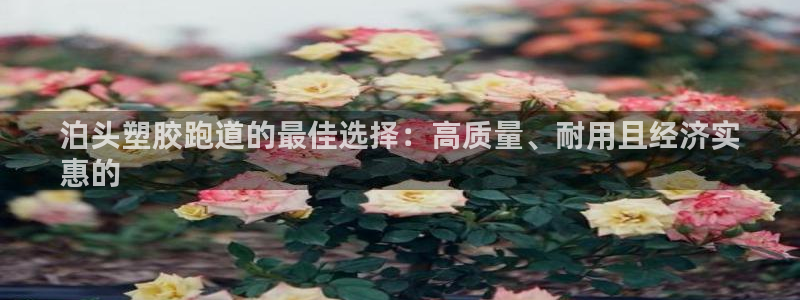 谈球吧app赛事分析报告怎么做：泊头塑胶跑道的最佳选择：高质量、耐用且经济实
惠的