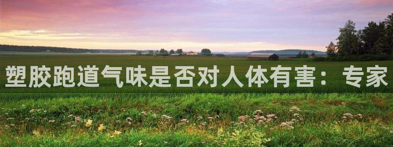 谈球吧体育综合台：塑胶跑道气味是否对人体有害：专家