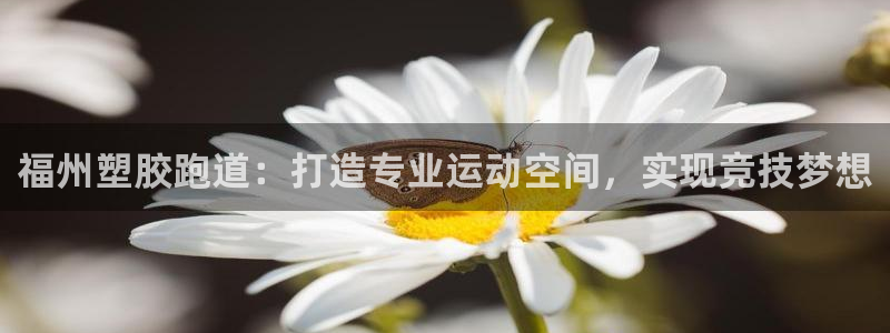 谈球吧app赛事分析报告怎么做：福州塑胶跑道：打造专