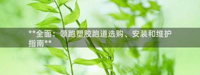 谈球吧app官方下载：**全面：领跑塑胶跑道选购、安装和维护
指南**