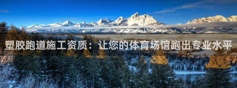谈球吧网页版：塑胶跑道施工资质：让您的体育场馆跑出专