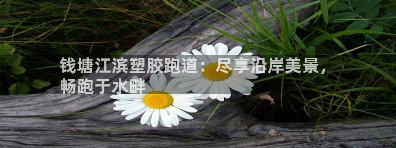 谈球吧最新APP下载：钱塘江滨塑胶跑道：尽享沿岸美景，
畅跑于水畔